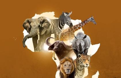 Africa Day 2026: Celebrating African Excellence, Culture, and the Future of Pan-African Trade